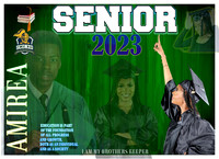Amirea Grad Pics