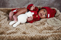 IMG_4222 copy