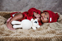 IMG_4211 copy