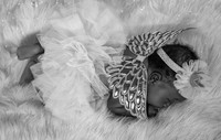 IMG_0851-2