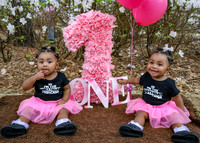 Twins Birthday Shoot