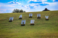 Chavoy Gender Reveal/Proposal